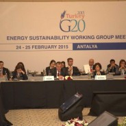 First G20 Energy Sustainability Working Group held in Antalya