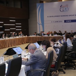 Third Meeting of the G20 Development Working Group held in Izmir