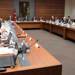 Deputy Prime Minister Ali Babacan’s Meeting with the G20 Engagement Groups
