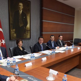 Deputy Prime Minister Ali Babacan’s Meeting with the G20 Engagement Groups