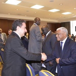 Deputy Prime Minister Babacan’s G20 Working Lunch with LIDC Ambassadors in Ankara