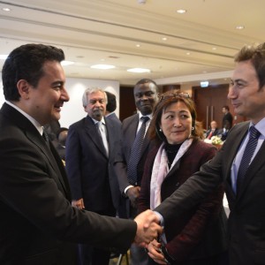 Deputy Prime Minister Babacan’s G20 Working Lunch with LIDC Ambassadors in Ankara