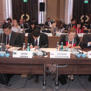 G20 DWG Meeting Held in Istanbul