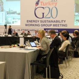 First G20 Energy Sustainability Working Group held in Antalya