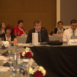 First G20 Energy Sustainability Working Group held in Antalya