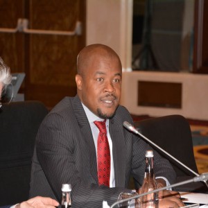 Second G20 Development Working Group Meeting held in Ankara
