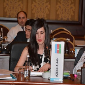 Second G20 Development Working Group Meeting held in Ankara