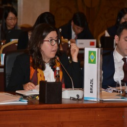 Second G20 Development Working Group Meeting held in Ankara