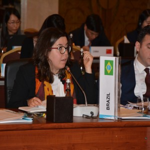 Second G20 Development Working Group Meeting held in Ankara