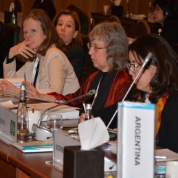 Second G20 Development Working Group Meeting held in Ankara
