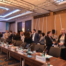 Second Meeting of the Energy Sustainability Working Group held in Istanbul