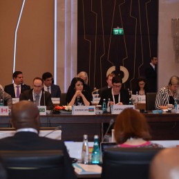 Second Meeting of the Energy Sustainability Working Group held in Istanbul