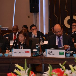 Second Meeting of the Energy Sustainability Working Group held in Istanbul