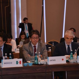 Second Meeting of the Energy Sustainability Working Group held in Istanbul