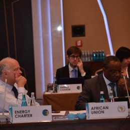 Second Meeting of the Energy Sustainability Working Group held in Istanbul