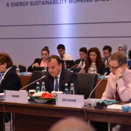 Second Meeting of the Energy Sustainability Working Group held in Istanbul