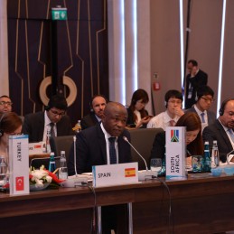 Second Meeting of the Energy Sustainability Working Group held in Istanbul