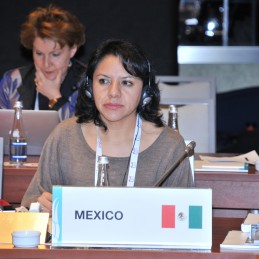 Second Meeting of the G20 Employment Working Group held in İstanbul