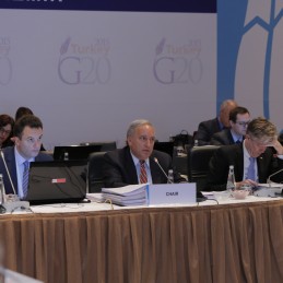 Third Meeting of the G20 Development Working Group held in Izmir
