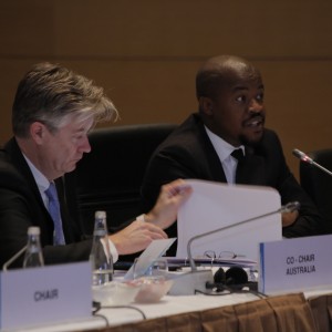 Third Meeting of the G20 Development Working Group held in Izmir