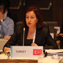 Third Meeting of the G20 Development Working Group held in Izmir