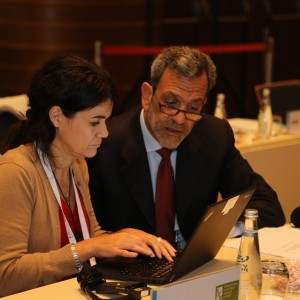Third Meeting of the G20 Development Working Group held in Izmir