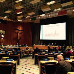 Turkey’s G20 Sherpa Briefed the UN Member States in New York and in Bangkok