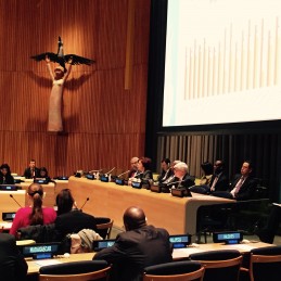 Turkey’s G20 Sherpa Briefed the UN Member States in New York and in Bangkok