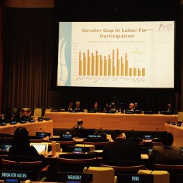 Turkey’s G20 Sherpa Briefed the UN Member States in New York and in Bangkok