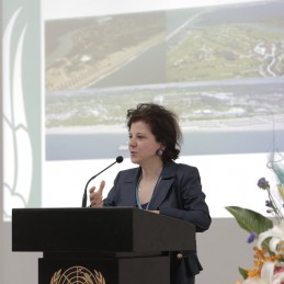 Turkey’s G20 Sherpa Briefed the UN Member States in New York and in Bangkok
