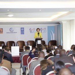 The G20 Turkish Presidency convenes high-level event on inclusive business at international development financing conference