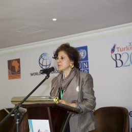 The G20 Turkish Presidency convenes high-level event on inclusive business at international development financing conference