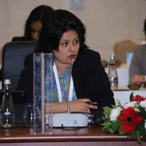 Fourth Meeting of the G20 Development Working Group held in Antalya