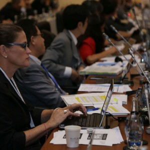 Fourth Meeting of the G20 Development Working Group held in Antalya