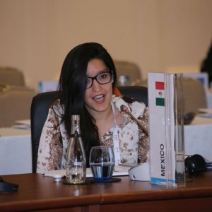 Fourth Meeting of the G20 Development Working Group held in Antalya