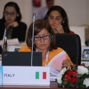 Fourth Meeting of the G20 Development Working Group held in Antalya
