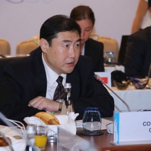 Fourth Meeting of the G20 Development Working Group held in Antalya