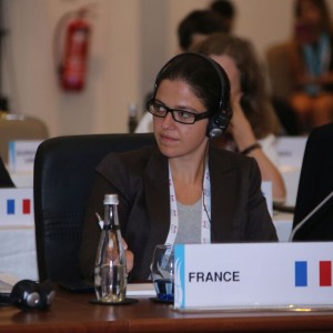 Fourth Meeting of the G20 Development Working Group held in Antalya