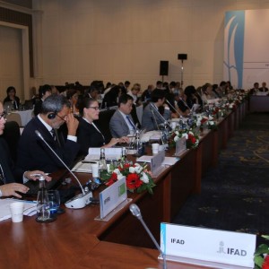 Fourth Meeting of the G20 Development Working Group held in Antalya