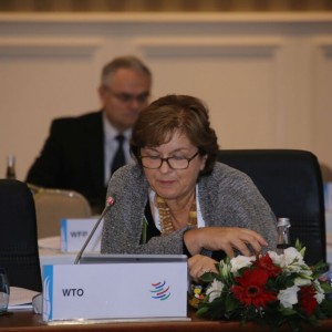 Fourth Meeting of the G20 Development Working Group held in Antalya