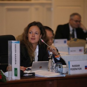Fourth Meeting of the G20 Development Working Group held in Antalya