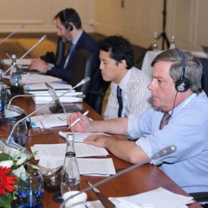Fourth Meeting of the G20 Development Working Group held in Antalya