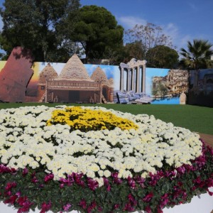 Home Culture Zone