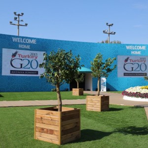 Home Culture Zone