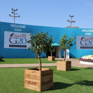 Home Culture Zone